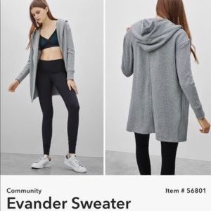 Aritzia Community Hooded Sweater